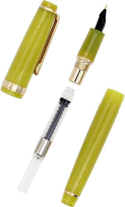 Gullor Transparent Fluorescent Fountain Pen, Resin, with Converter, Multicolor Ink Cartridges, Gift Box, Extra Fine Nib