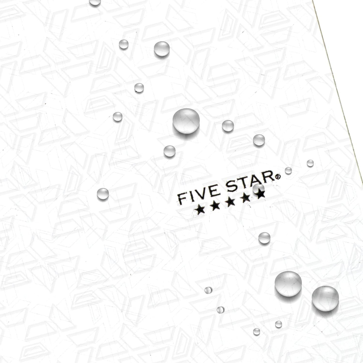 Five Star 2-Pocket Folder, Plastic Folder with Stay-Put Tabs, Fits 3-Ring Binder, Holds 8-1/2" x 11" Paper, White (333420I-ECM)