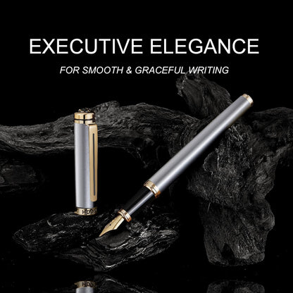 Silver Luxury Fountain Pen Set for Men and Women with Gift Box, 24K Gold Finish and Gilded Nib(Extra Fine)
