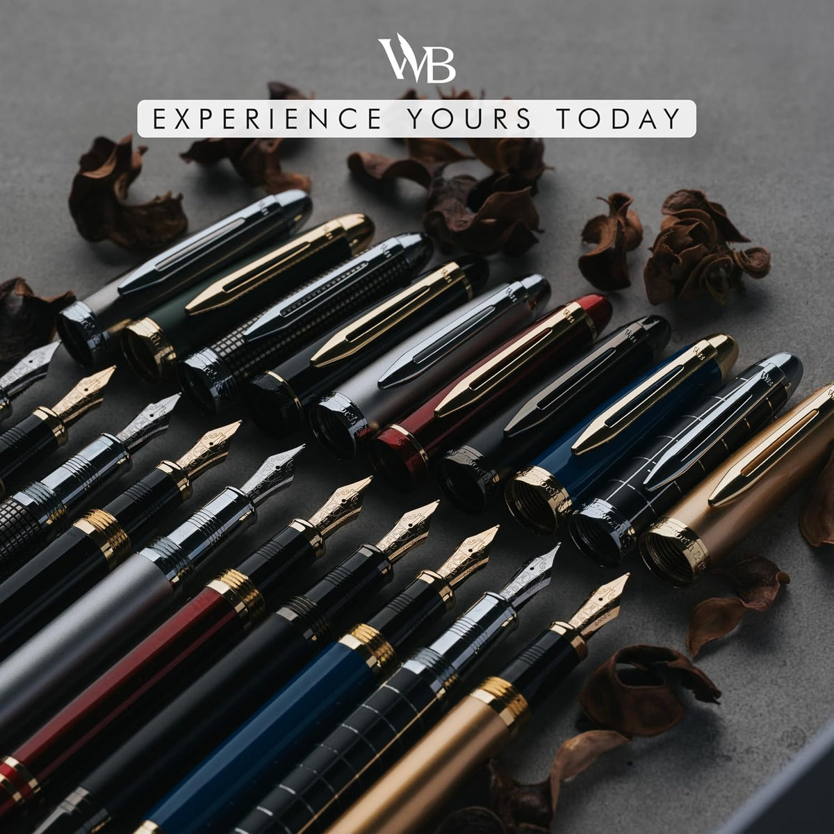 Wordsworth & Black Majesti Luxury Fountain Pen Set for Writing, Medium Nib